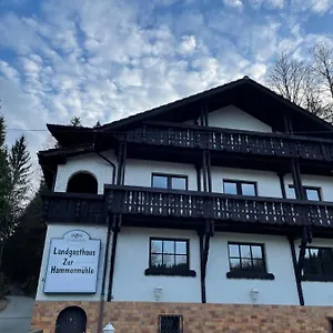Pension Zur Hammermuehle Gasthof